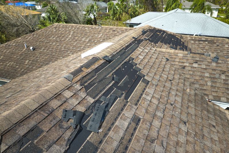 Roof Replacement Project