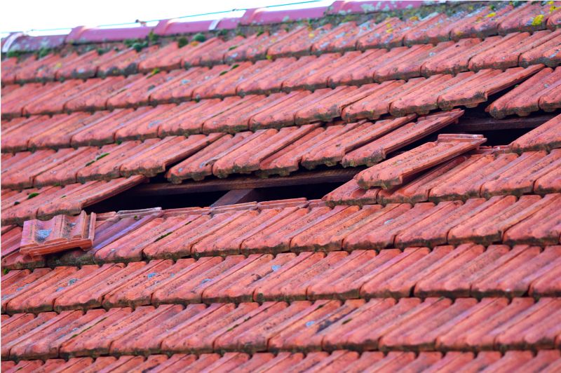 Roof Tile Repair