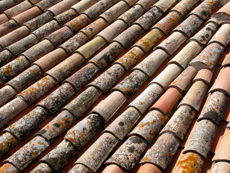 Mild Spring and Fall