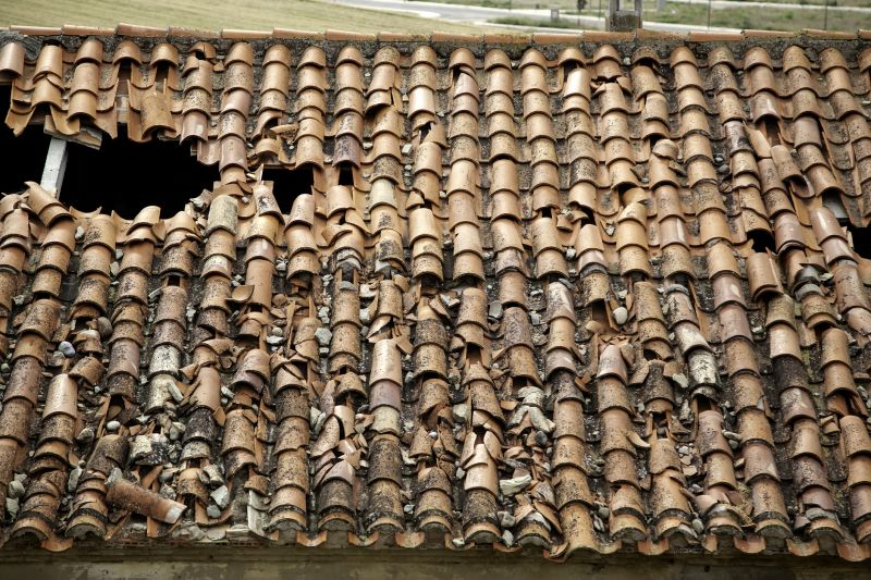 Damaged Roof Tiles