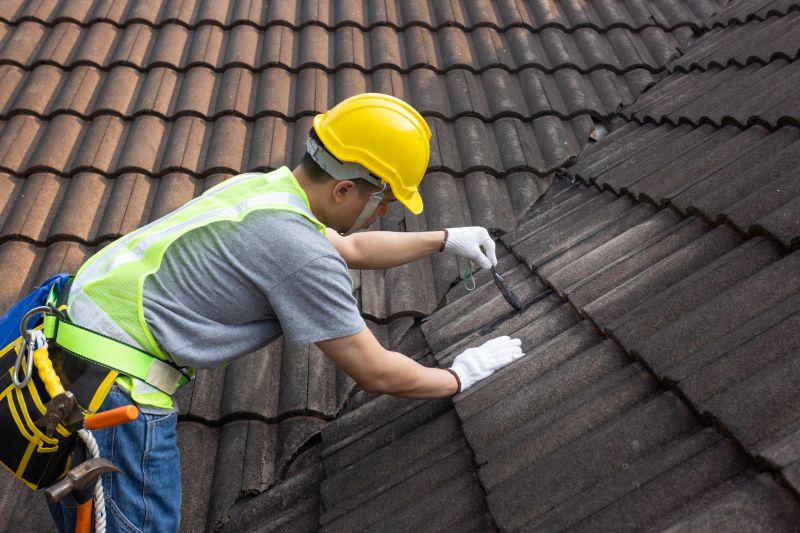 Professional Roof Inspection